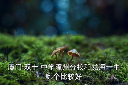 厦门 双十 中学漳州分校和龙海一中哪个比较好