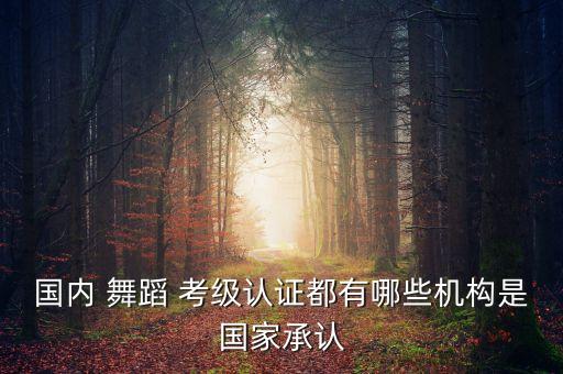 国内 舞蹈 考级认证都有哪些机构是国家承认