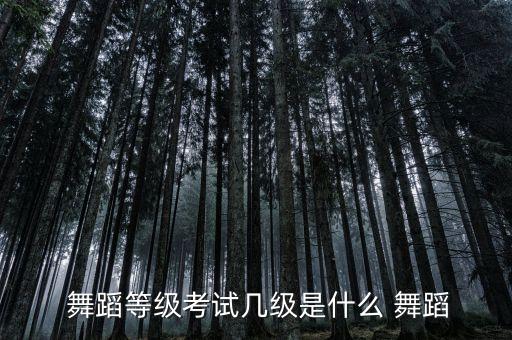  舞蹈等级考试几级是什么 舞蹈