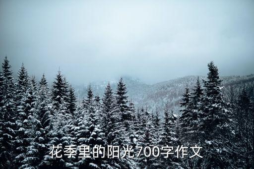 花季里的阳光700字作文