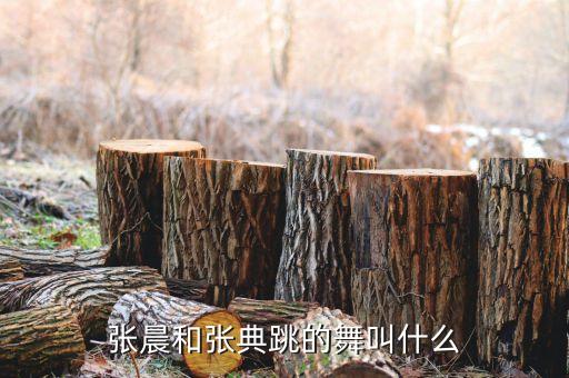 张晨和张典跳的舞叫什么