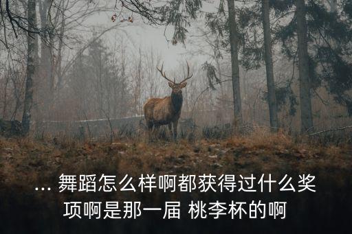 ... 舞蹈怎么样啊都获得过什么奖项啊是那一届 桃李杯的啊