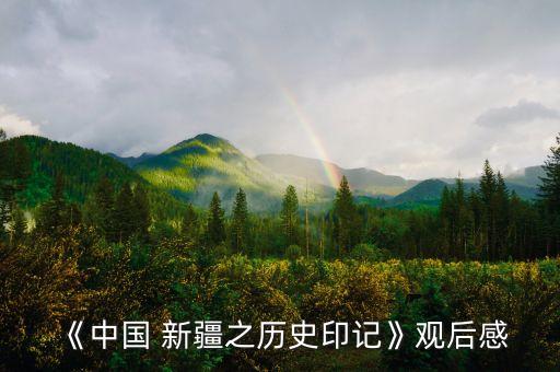 《中国 新疆之历史印记》观后感