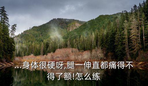 ...身体很硬呀,腿一伸直都痛得不得了额!怎么练