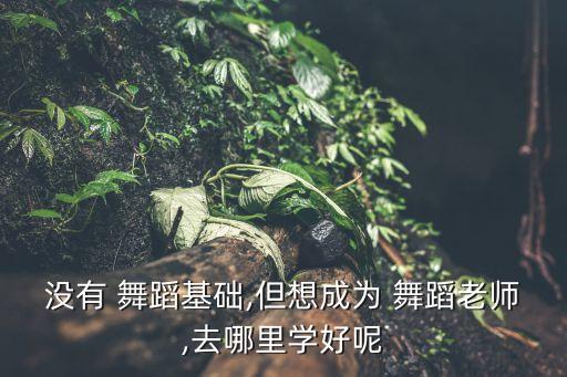 没有 舞蹈基础,但想成为 舞蹈老师,去哪里学好呢