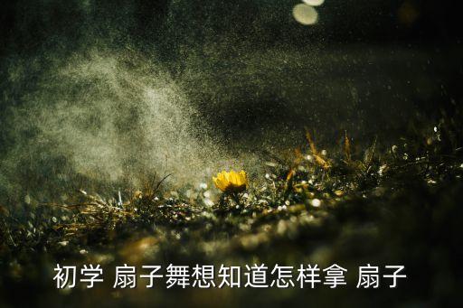 初学 扇子舞想知道怎样拿 扇子