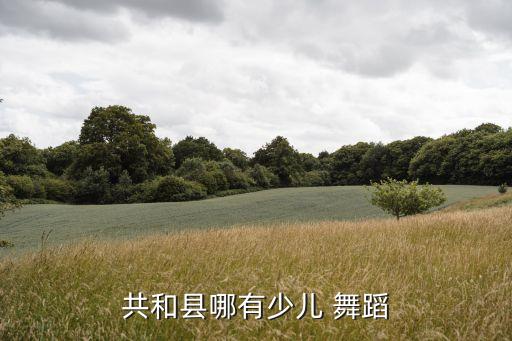共和县哪有少儿 舞蹈