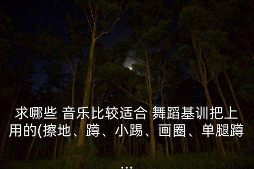 求哪些 音乐比较适合 舞蹈基训把上用的(擦地、蹲、小踢、画圈、单腿蹲...