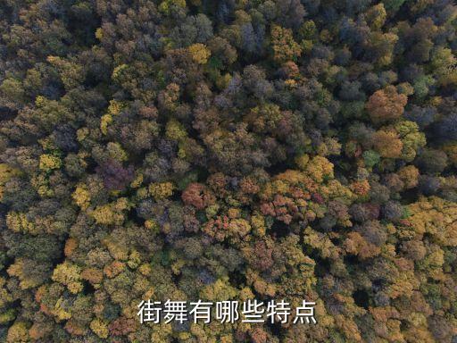街舞有哪些特点