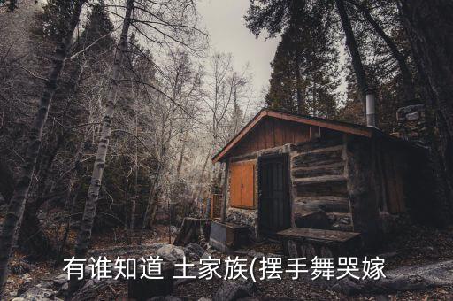 土家族和苗族舞蹈视频,女儿嫁舞蹈是苗族还是土家族
