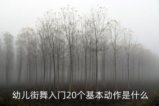  幼儿街舞入门20个基本动作是什么