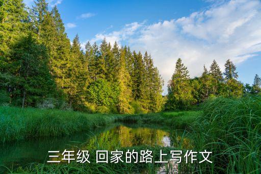 三年级 回家的路上写作文
