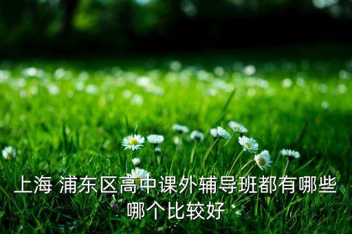 上海 浦东区高中课外辅导班都有哪些哪个比较好
