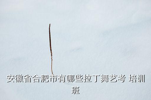 艺术之家舞蹈培训,攀枝花市太阳花艺术舞蹈培训