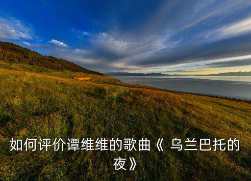 如何评价谭维维的歌曲《 乌兰巴托的夜》
