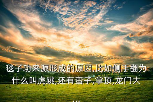 舞蹈毯功是什么,舞蹈生回功是什么意思