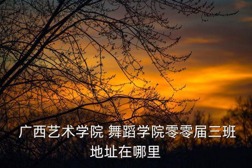 广西舞蹈师资培训班,舞蹈师资培训班的目的意义
