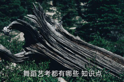 中国舞蹈作品赏析知识要点