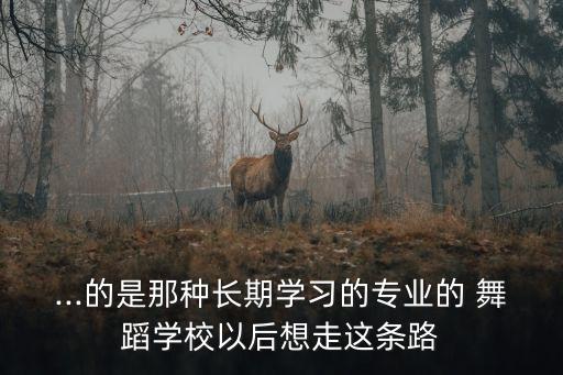 ...的是那种长期学习的专业的 舞蹈学校以后想走这条路