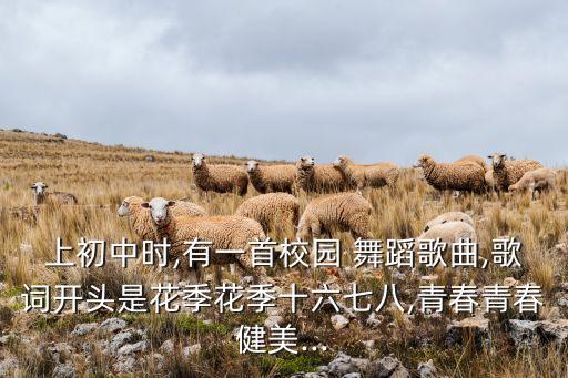 上初中时,有一首校园 舞蹈歌曲,歌词开头是花季花季十六七八,青春青春健美...