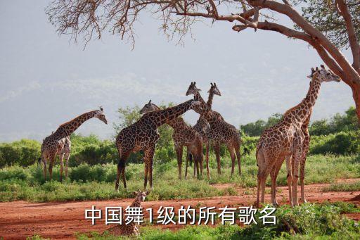 小孩儿舞蹈啦啦啦啦大全
