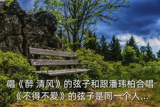 唱《醉 清风》的弦子和跟潘玮柏合唱《不得不爱》的弦子是同一个人...