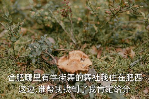  合肥哪里有学街舞的舞社我住在肥西这边,谁帮我找到了我肯定给分