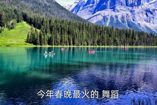 两棵树舞蹈分析,杨丽萍两棵树舞蹈视频