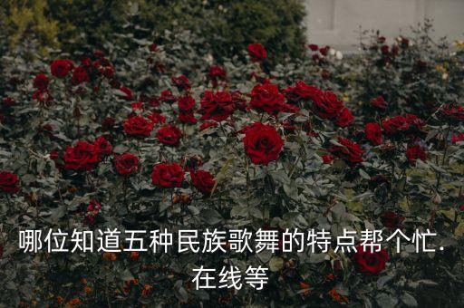 阿丽哩舞蹈视频,阿丽的生活状态视频