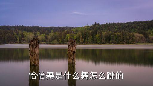 恰恰舞蹈音乐拉丁舞,牛仔舞蹈音乐拉丁舞儿童