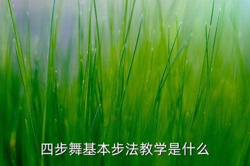 四步舞基本步法教学是什么