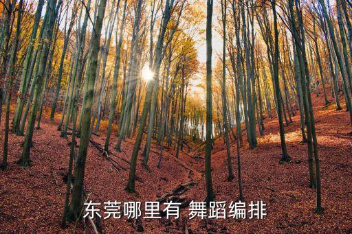 江南映象舞蹈视频,入画江南舞蹈完整版视频