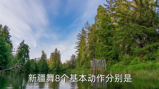  新疆舞8个基本动作分别是