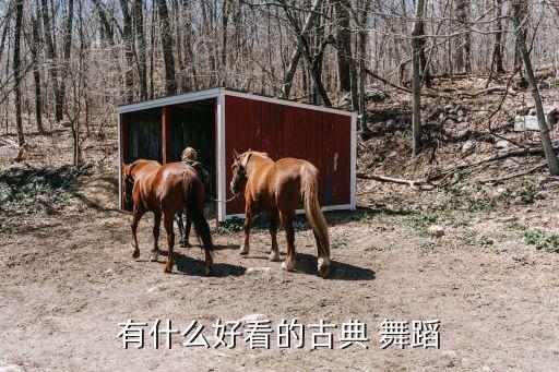 大唐贵妃舞蹈赏析