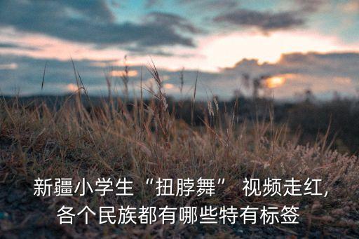  新疆小学生“扭脖舞” 视频走红,各个民族都有哪些特有标签
