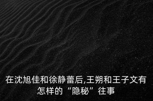在沈旭佳和徐静蕾后,王朔和王子文有怎样的“隐秘”往事