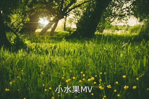 小水果MV