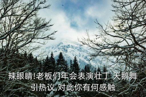辣眼睛!老板们年会表演壮丁 天鹅舞引热议,对此你有何感触