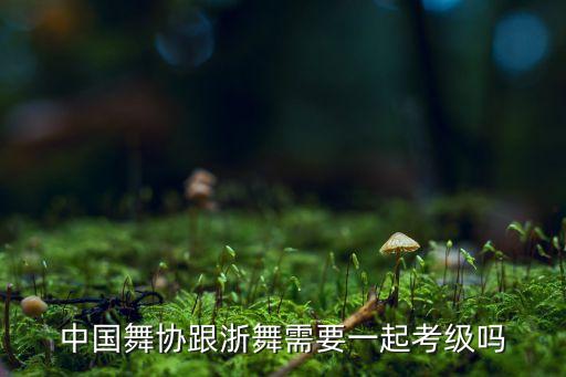 浙江省舞蹈家协会三级