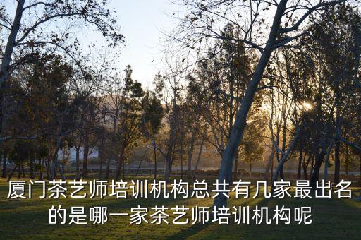 厦门茶艺师培训机构总共有几家最出名的是哪一家茶艺师培训机构呢