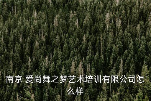 南京 爱尚舞之梦艺术培训有限公司怎么样