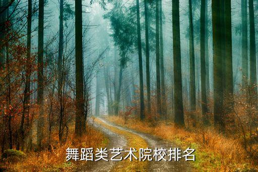  舞蹈类艺术院校排名