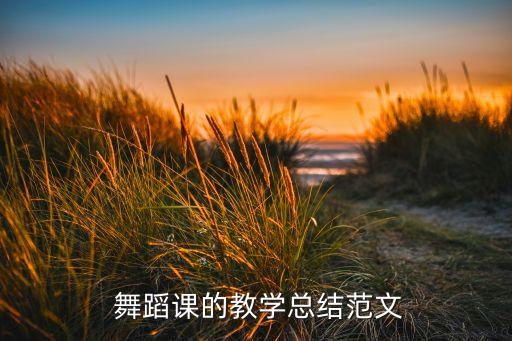  舞蹈课的教学总结范文