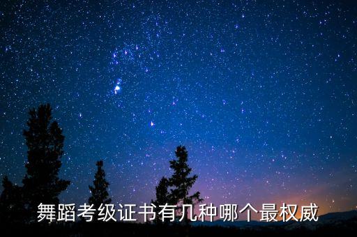 北京舞蹈家学院和中国舞协,中国舞协舞蹈家协会