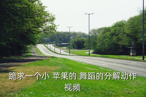 跪求一个小 苹果的 舞蹈的分解动作视频