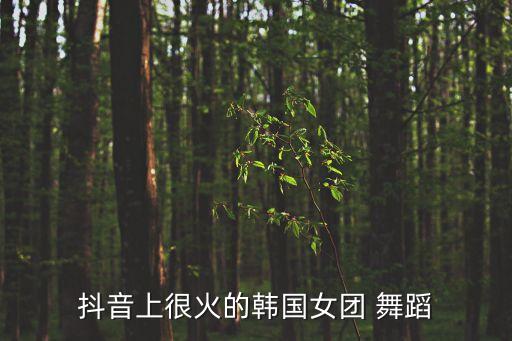 抖音上很火的韩国女团 舞蹈
