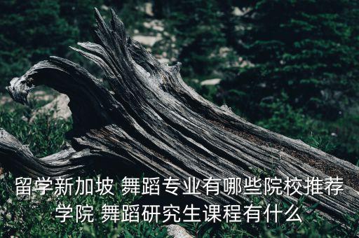 舞蹈考研模考,舞蹈专业考研难吗 都考什么内容