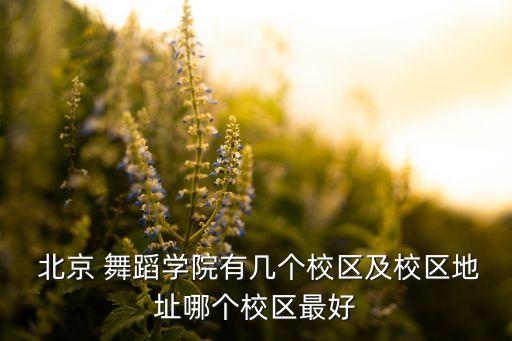 北京海淀舞蹈考级