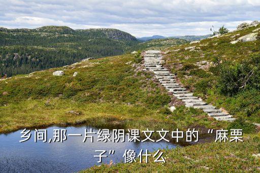  乡间,那一片绿阴课文文中的“麻栗子”像什么