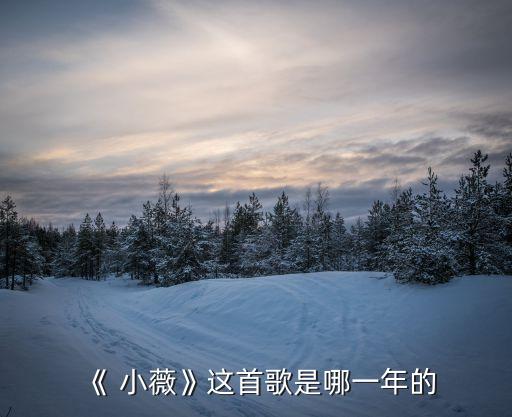 《 小薇》这首歌是哪一年的